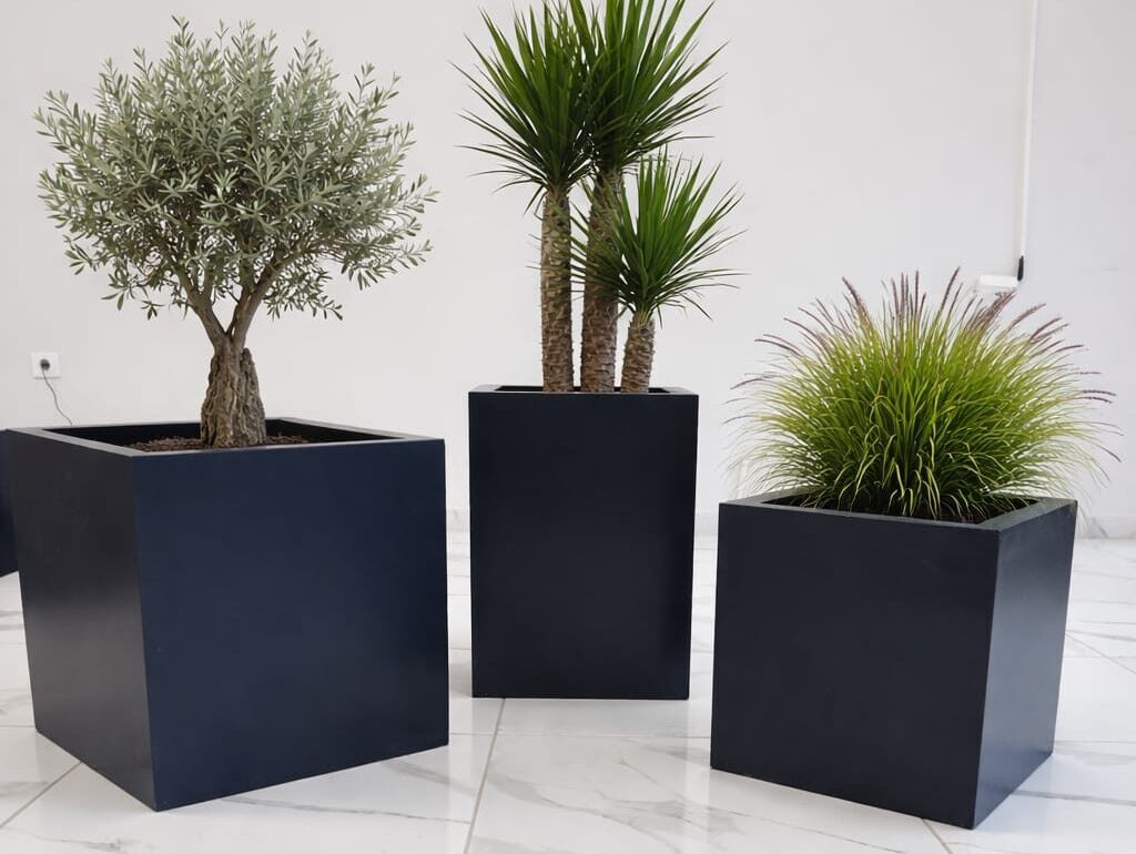 Fiber Saksılarda Saksı Değişimi Ne Zaman Yapılmalı Doğru Zamanlama Rehberi