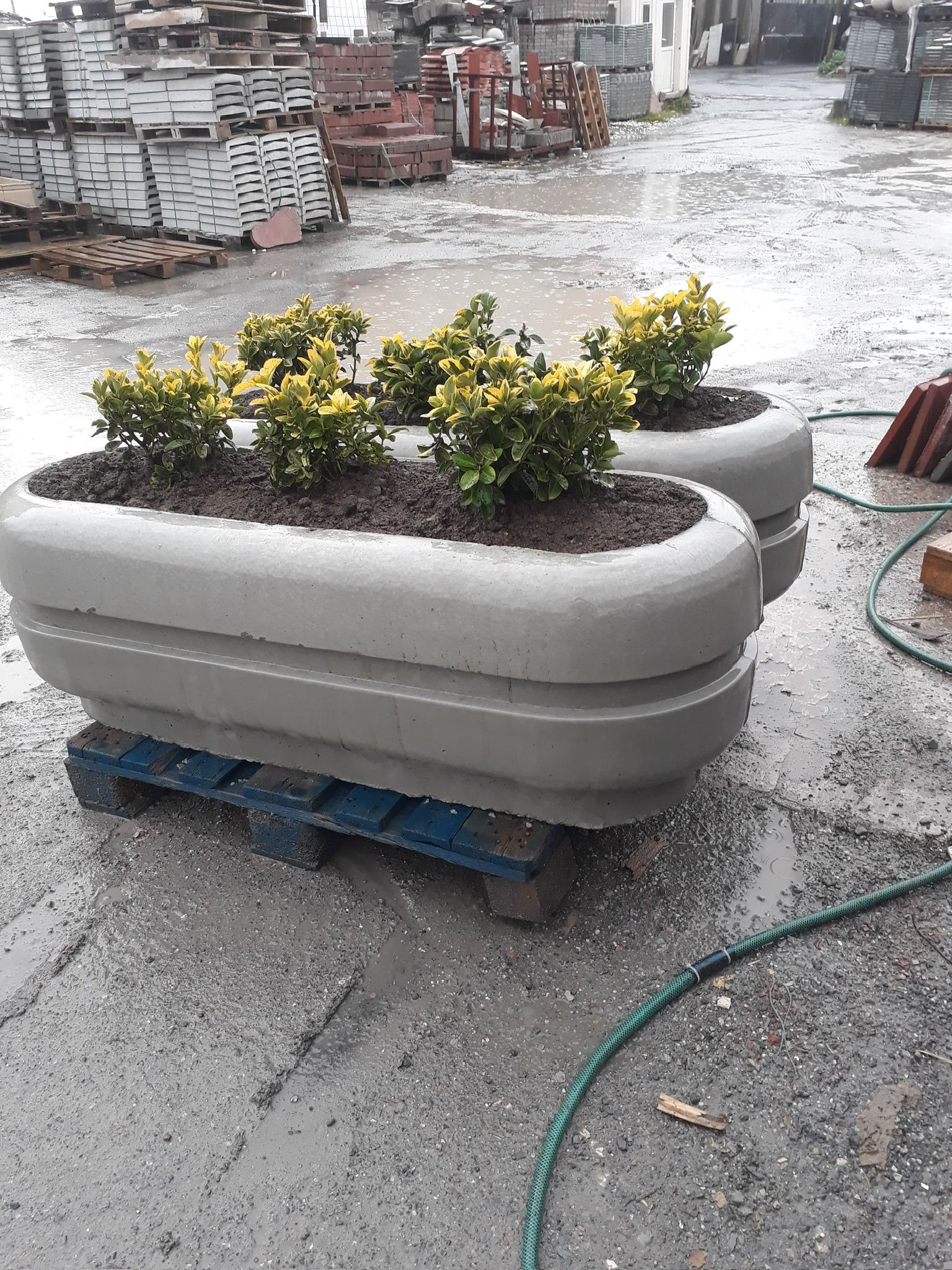 Kamusal Alan Peyzajında Beton Saksı Avantajları