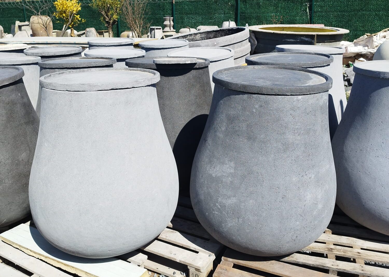 Modern Mimaride Beton Saksı Kullanımı Dekoratif Etki Malzeme Uyumu Ve Profesyonel Tasarım Rehberi